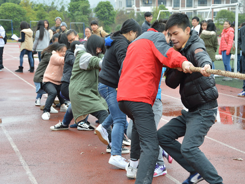 拔河比赛现场
